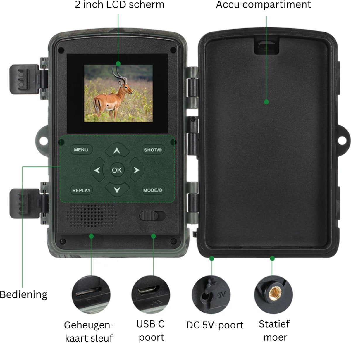 Wildcamera - Met Nachtzicht - Voor Buiten - Inclusief 32 GB kaart - Beginners en Professionals - 36 MP - 1080P