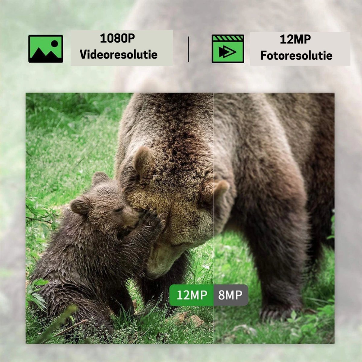 Wildcamera - Met Nachtzicht - Voor Buiten - Inclusief 32 GB kaart - Beginners en Professionals - 5MP - 1080P