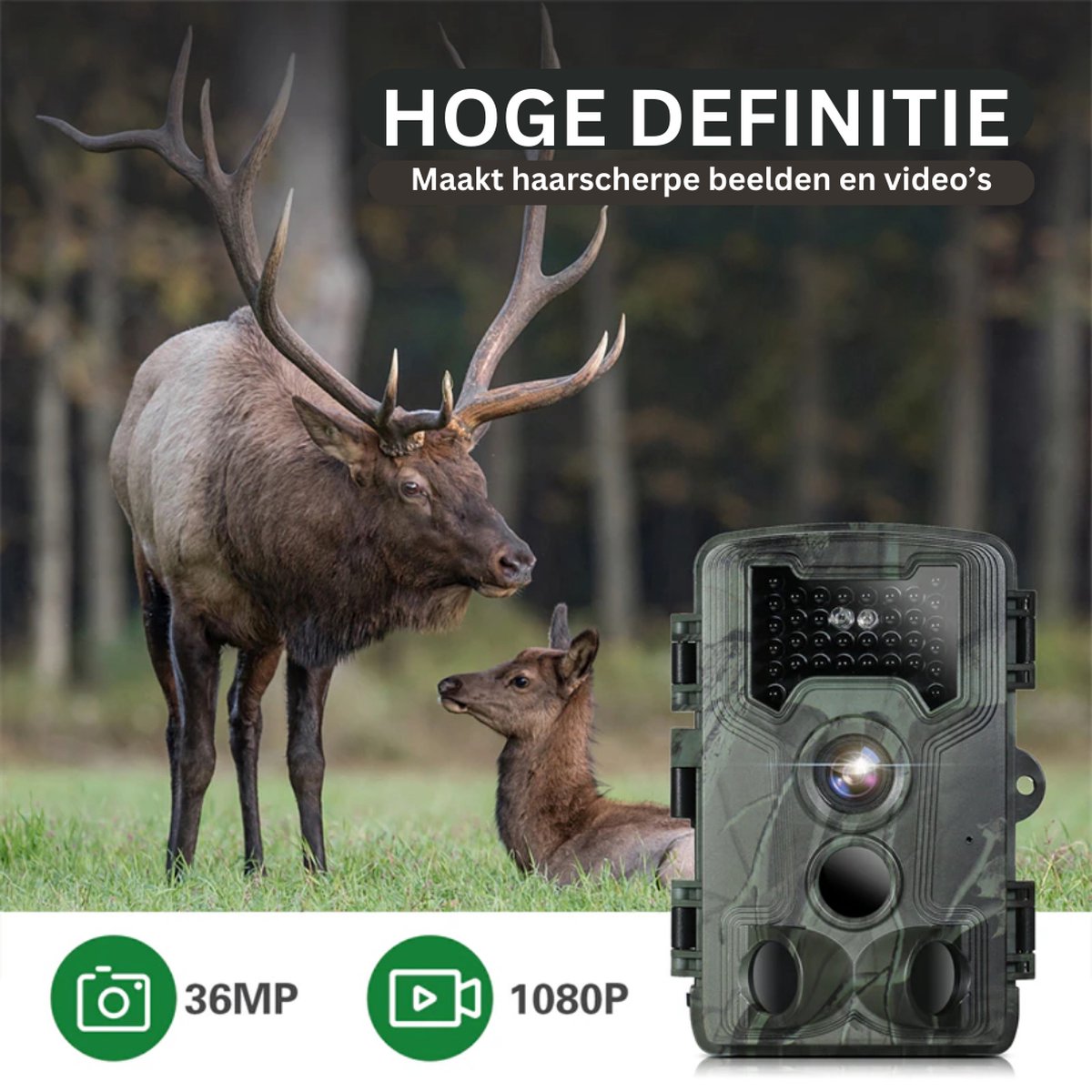 Wildcamera - Met Nachtzicht - Voor Buiten - Inclusief 32 GB kaart - Beginners en Professionals - 36 MP - 1080P