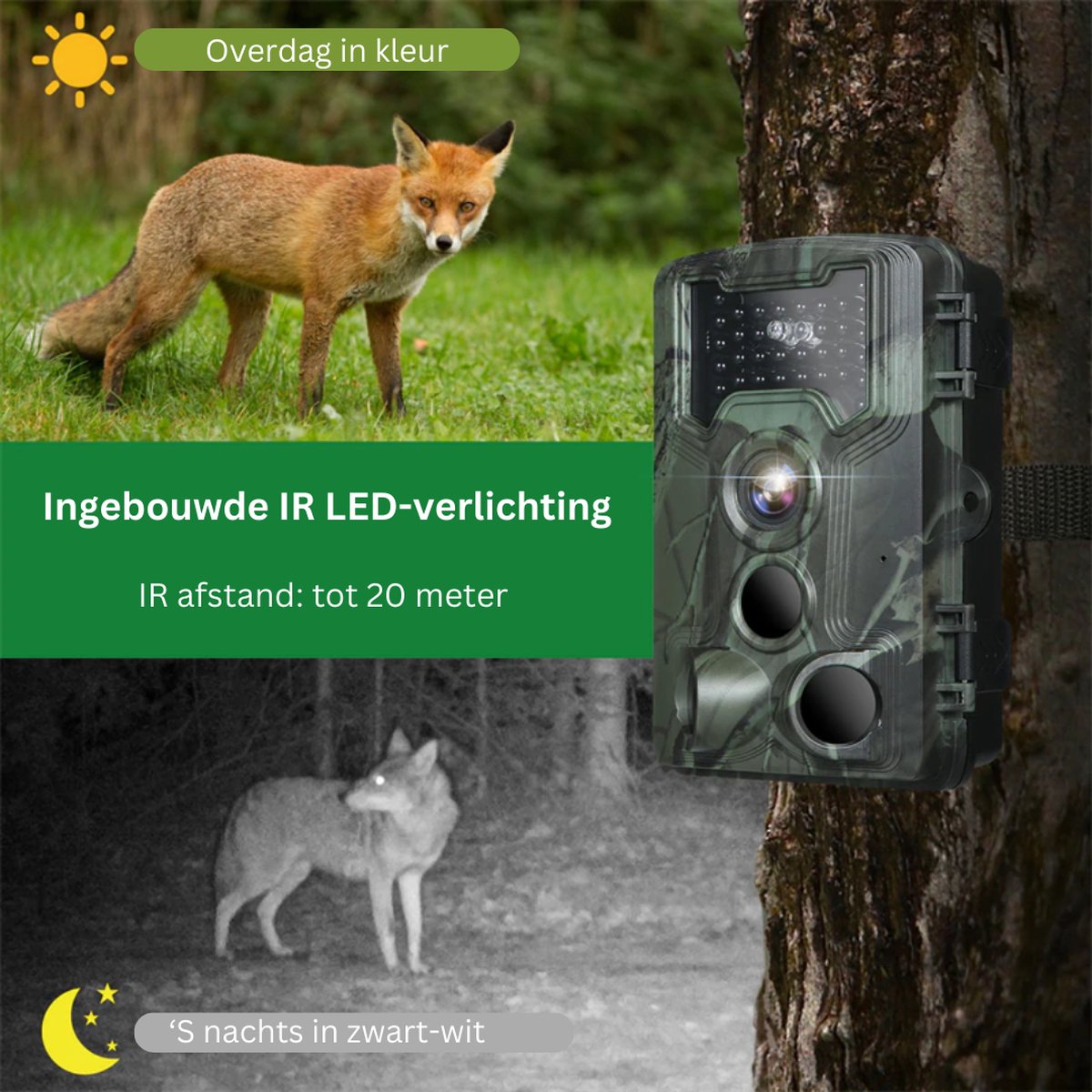 Wildcamera - Met Nachtzicht - Voor Buiten - Inclusief 32 GB kaart - Beginners en Professionals - 36 MP - 1080P